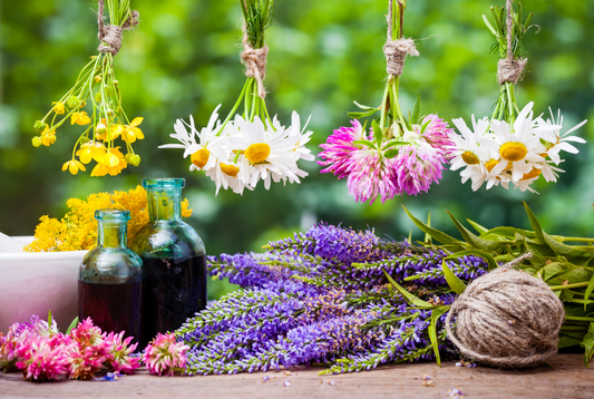 7 Botanicals & Adaptogens for Stress Management