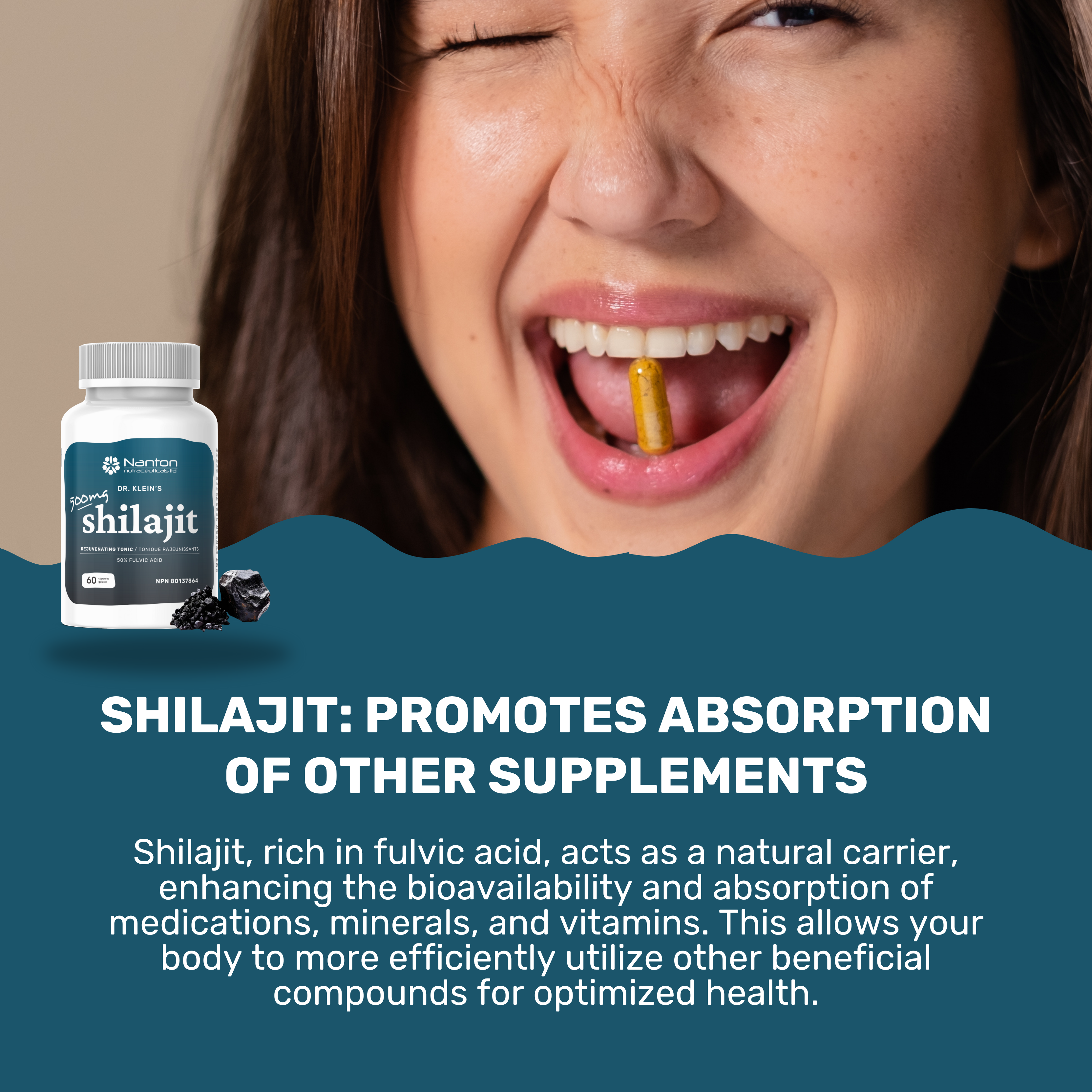 Shilajit 500mg