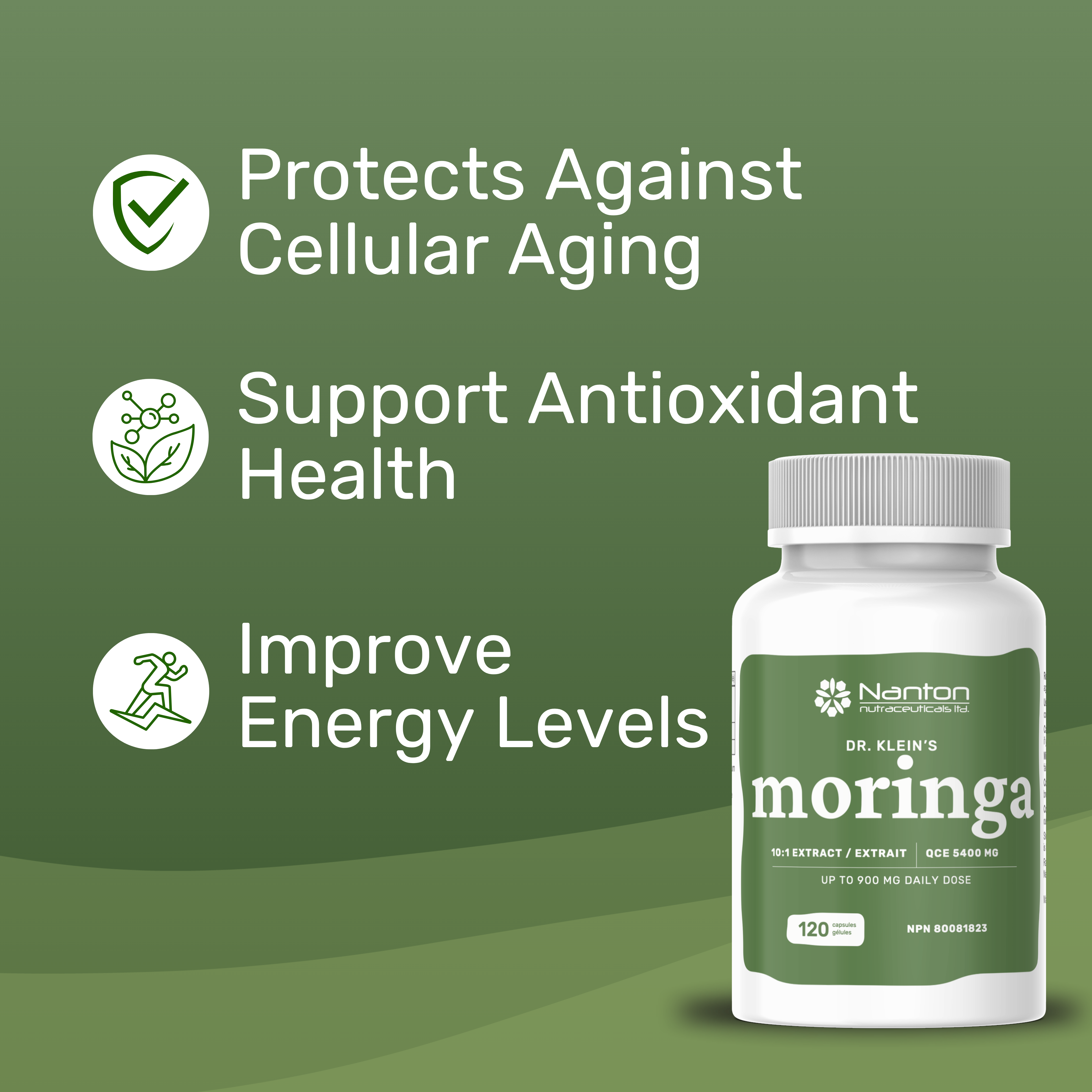 Moringa