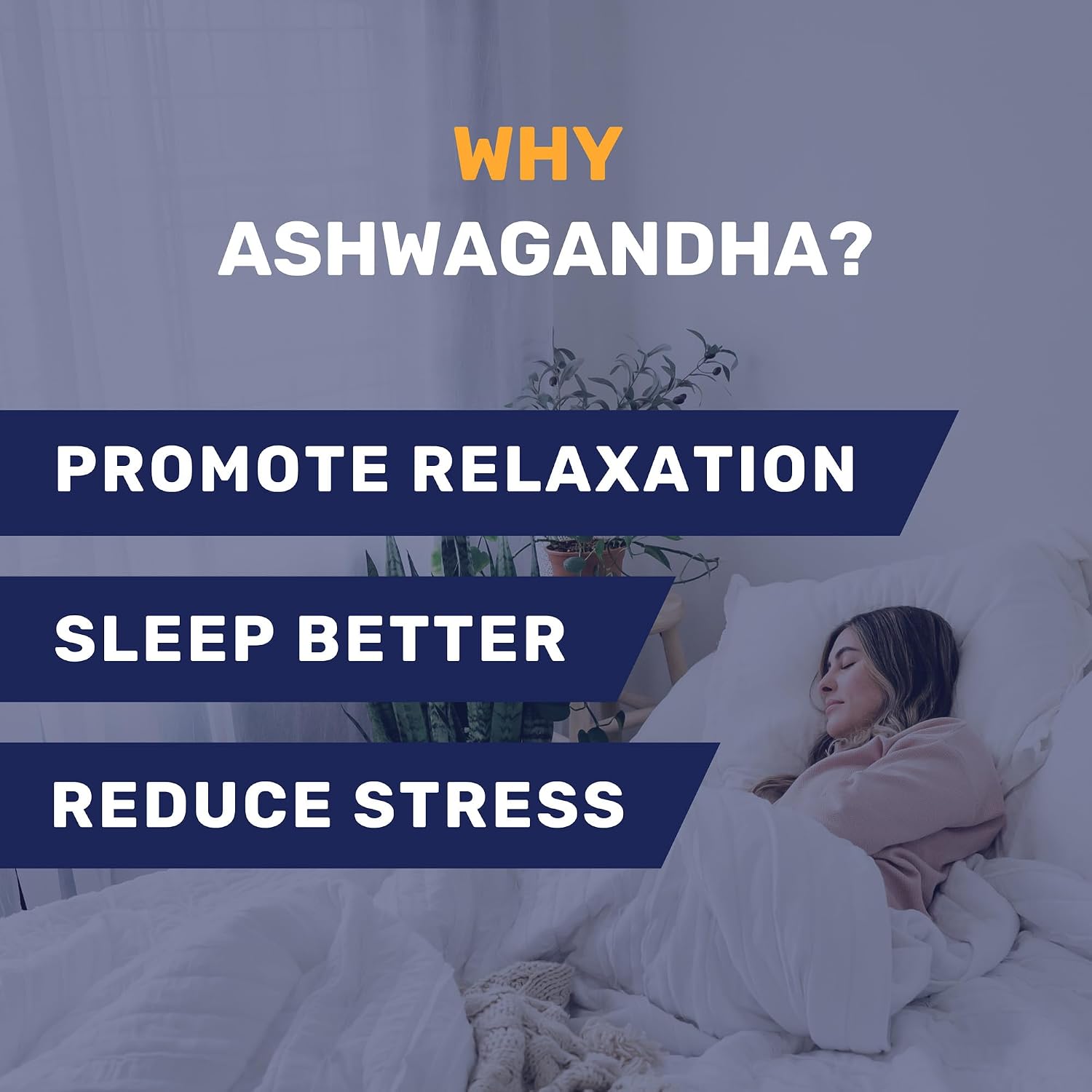 Ashwagandha 3 Pack of 60 Capsules - Bundle & Save $9.98