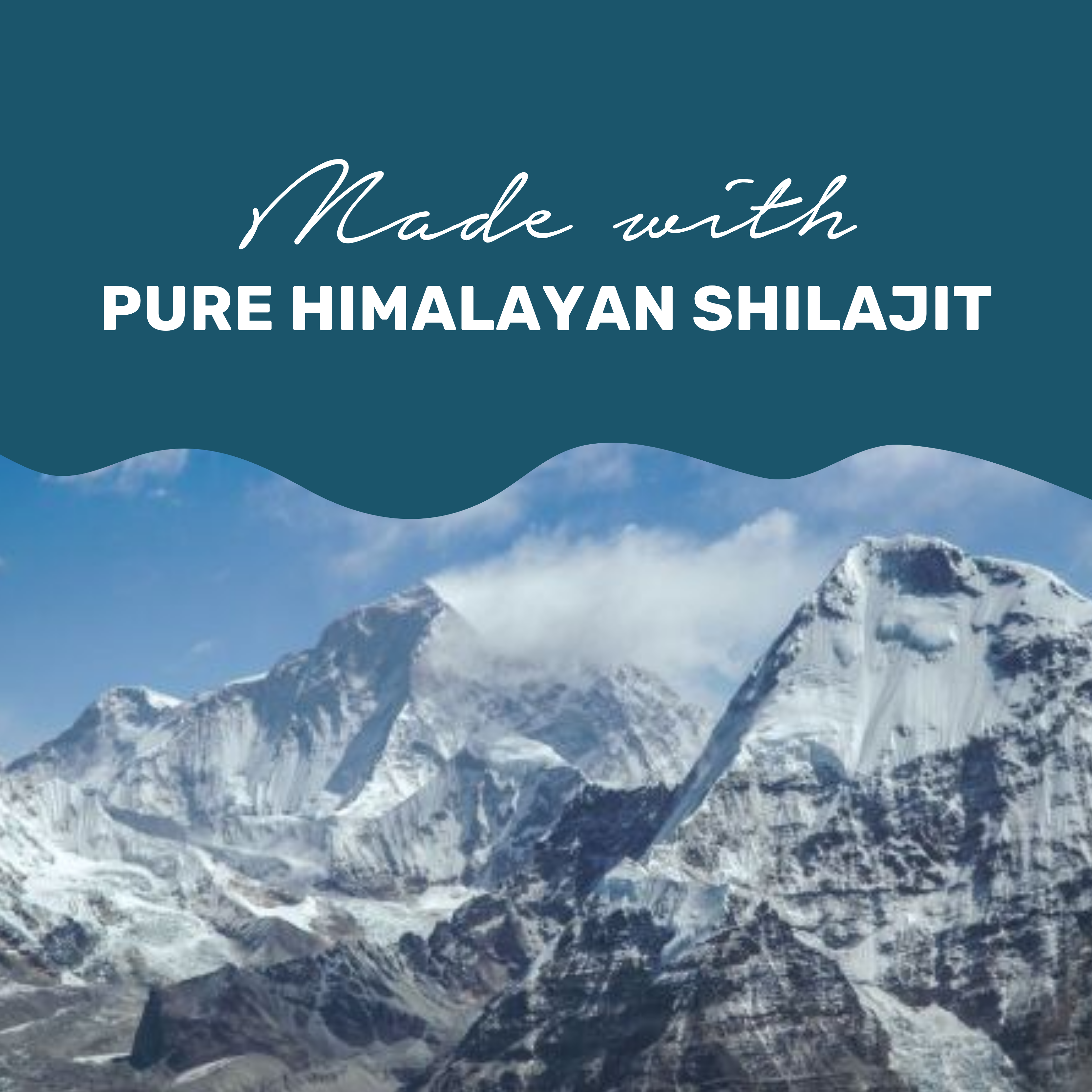 Shilajit 500mg