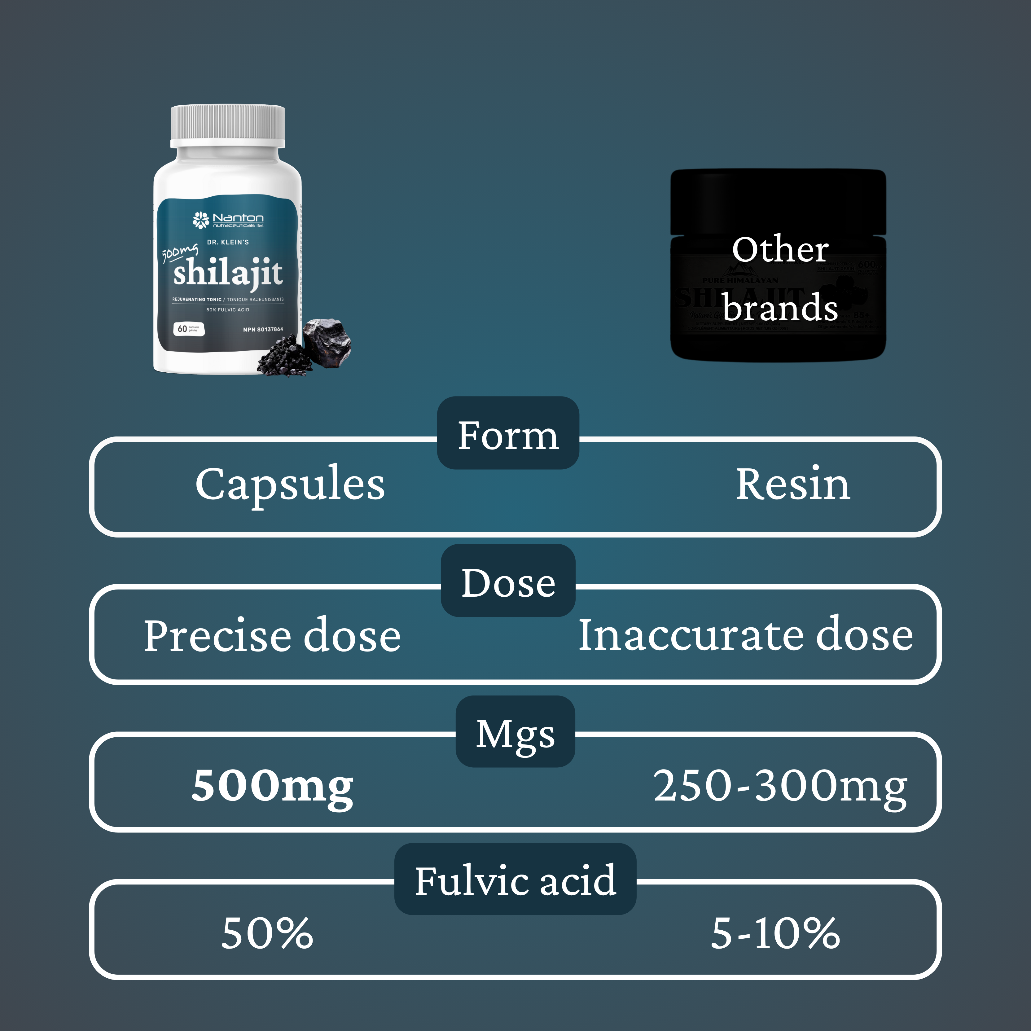 Shilajit 500mg