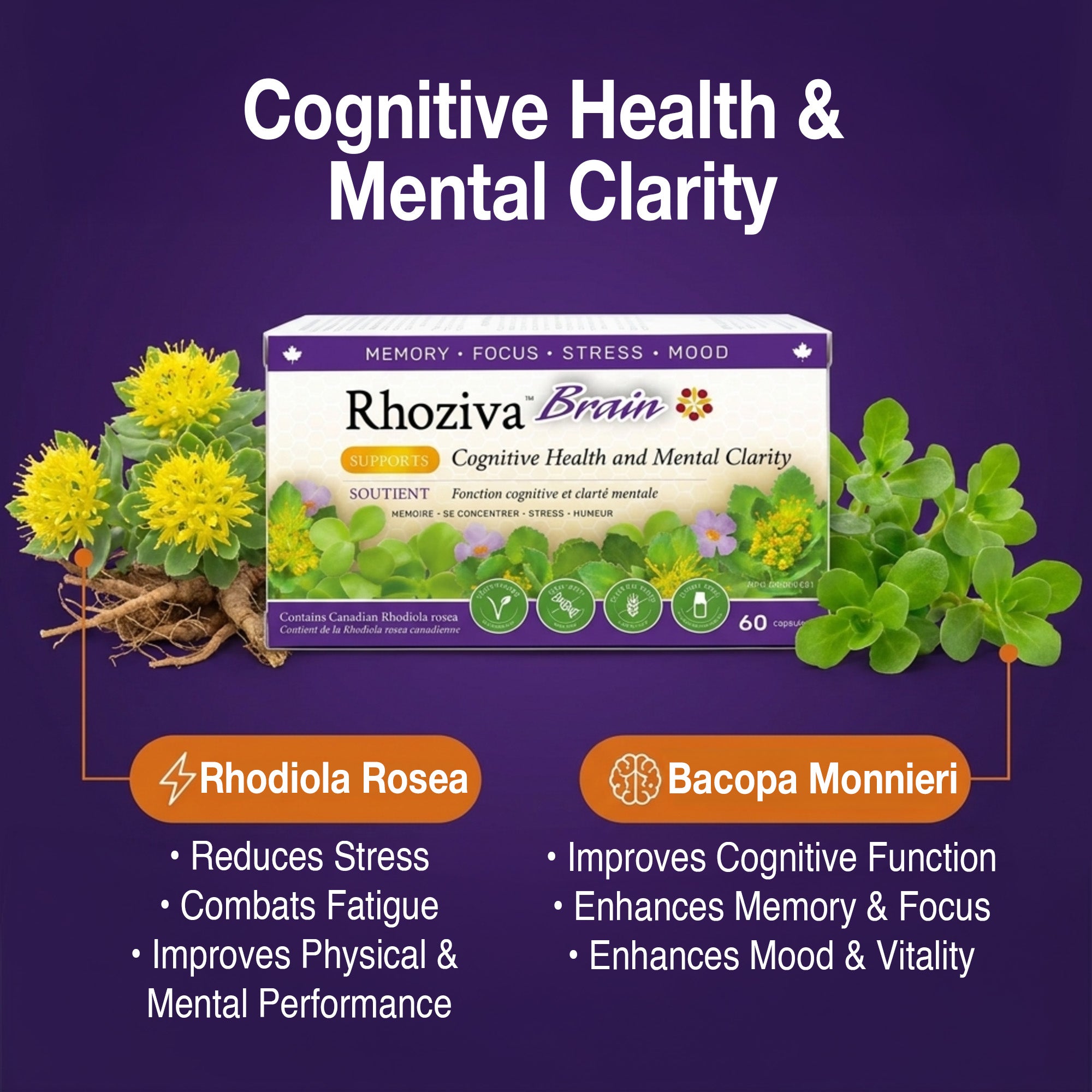 Rhoziva Brain