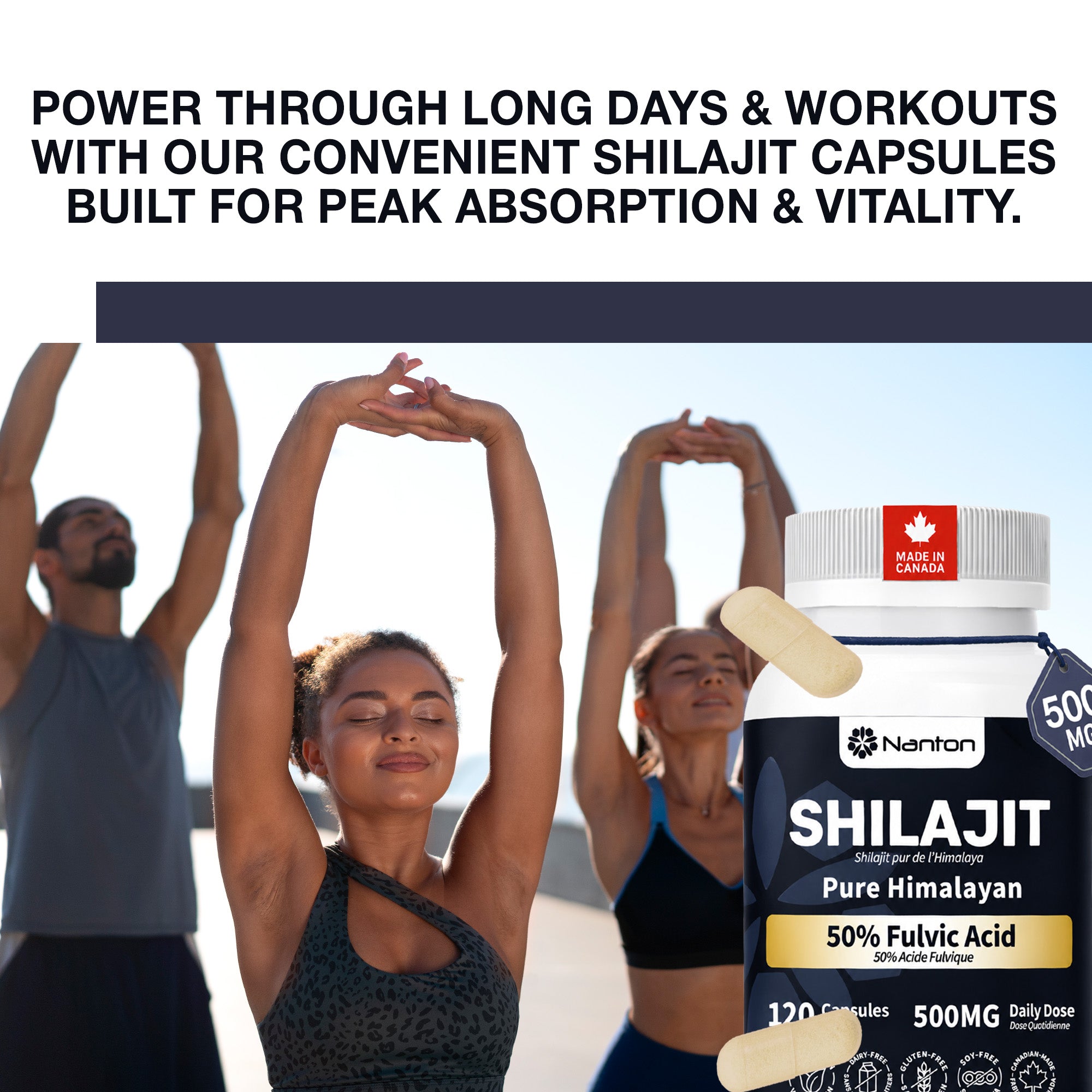 Shilajit