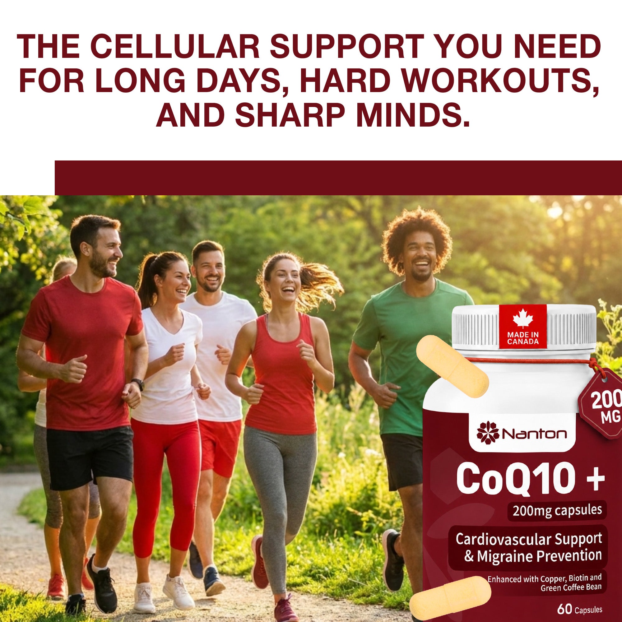 CoQ10+