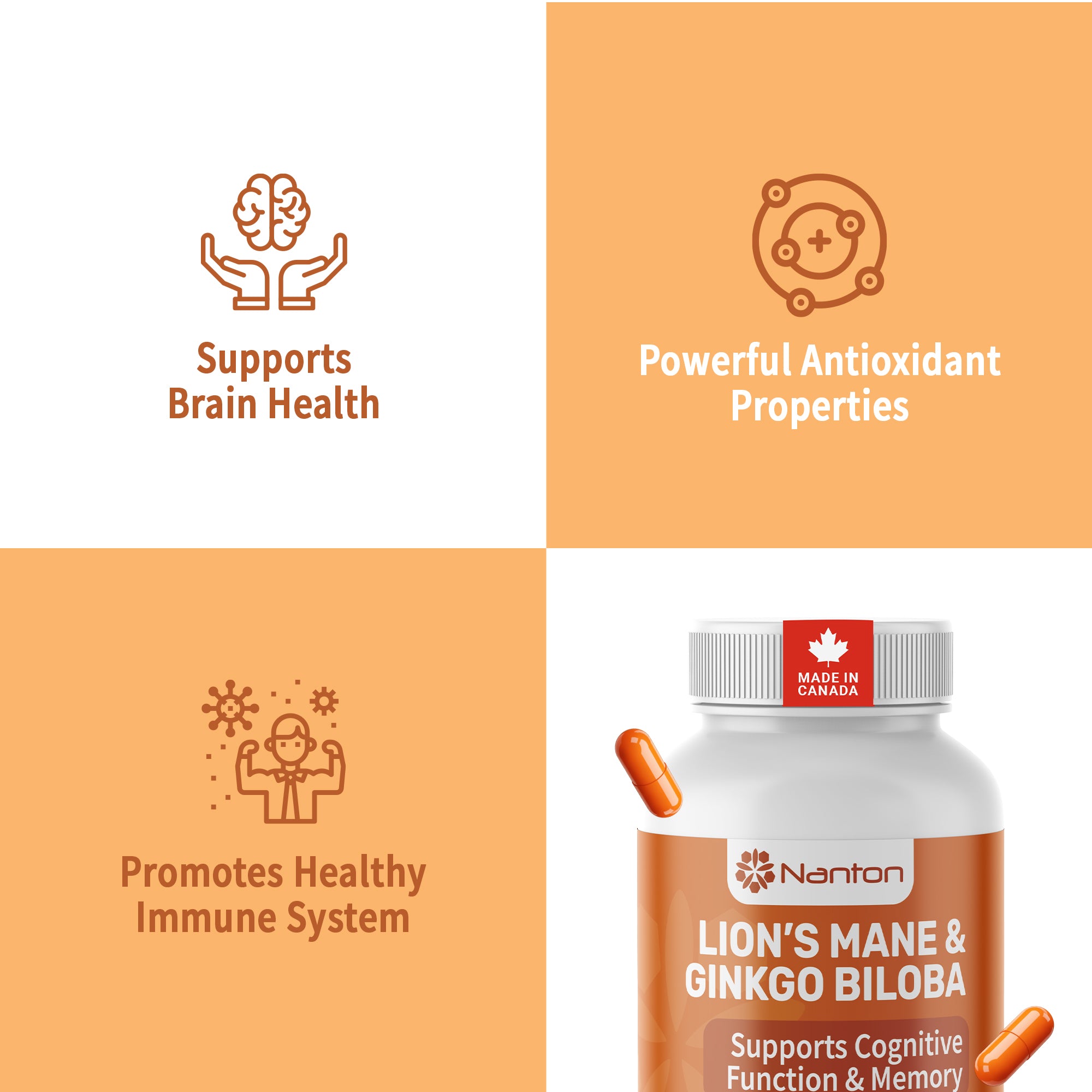 Lion's Mane & Ginkgo Biloba