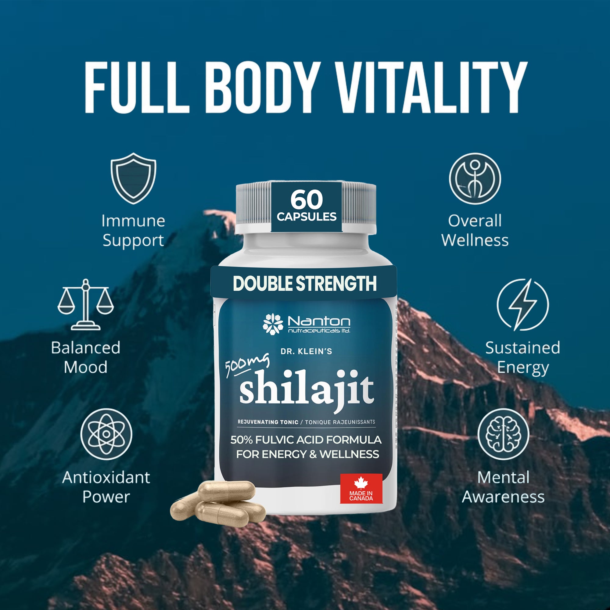 Shilajit 500mg