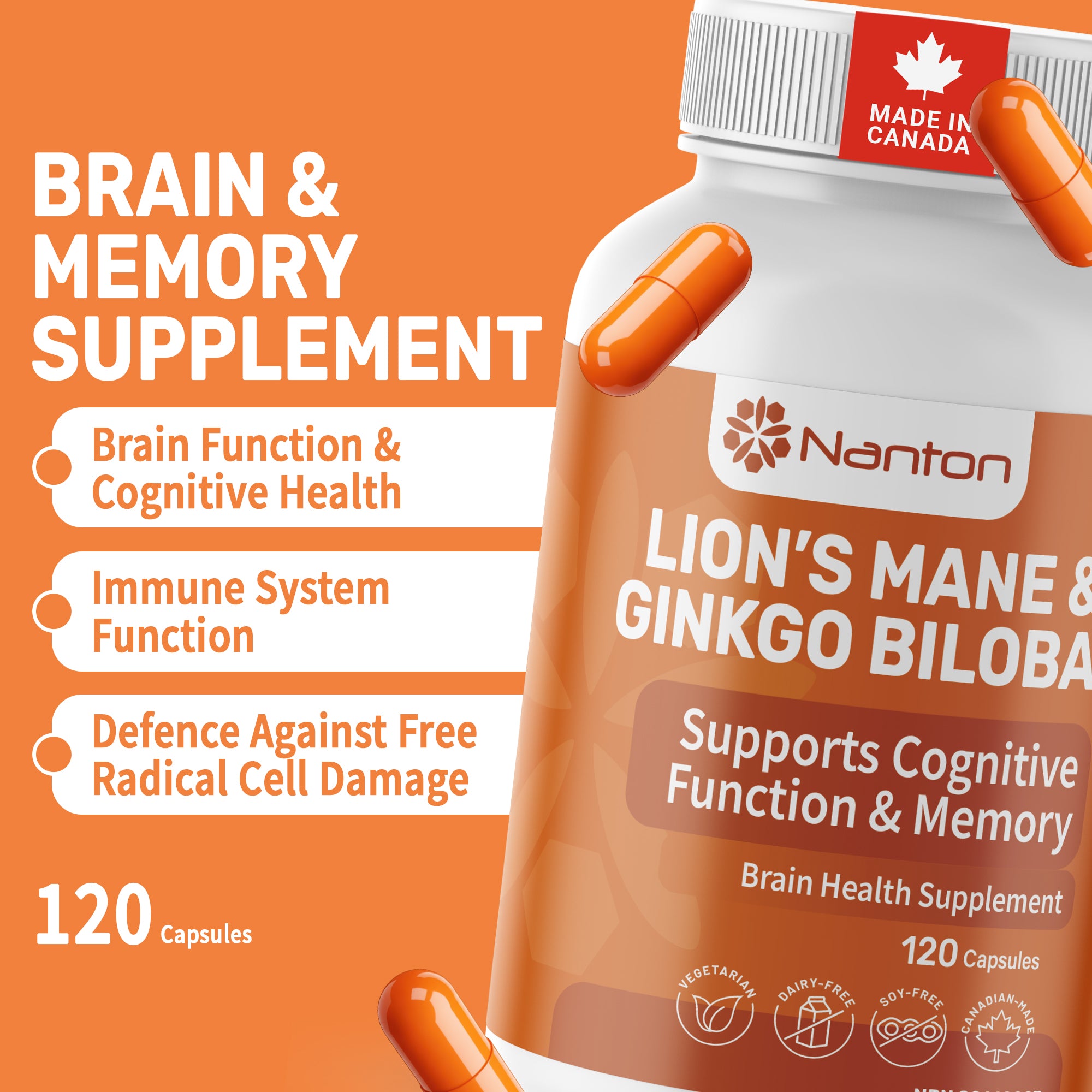 Lion's Mane & Ginkgo Biloba