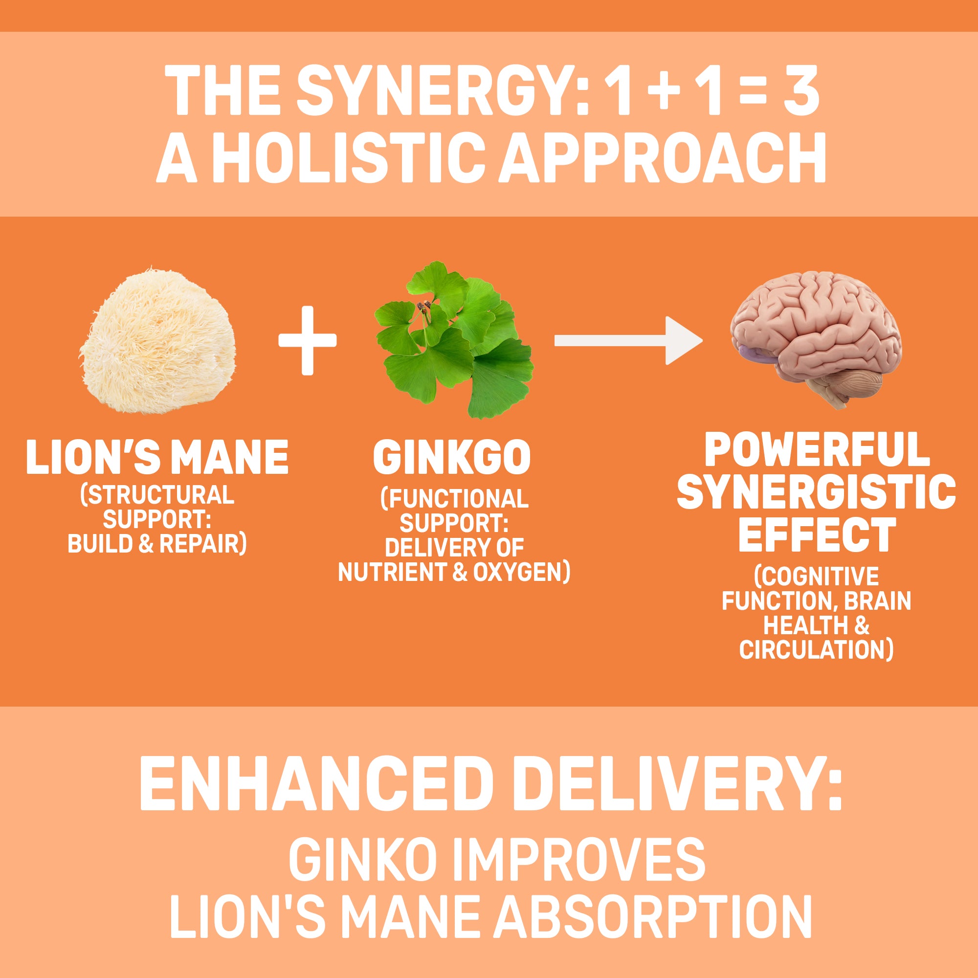 Lion's Mane & Ginkgo Biloba