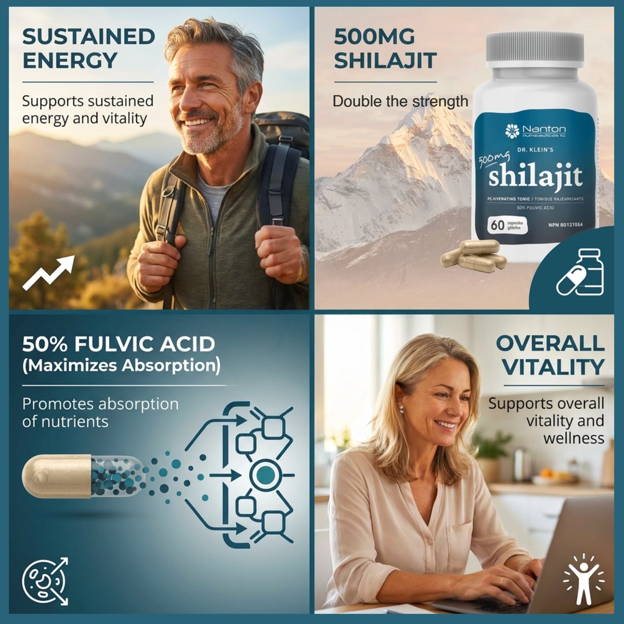 Shilajit 500mg