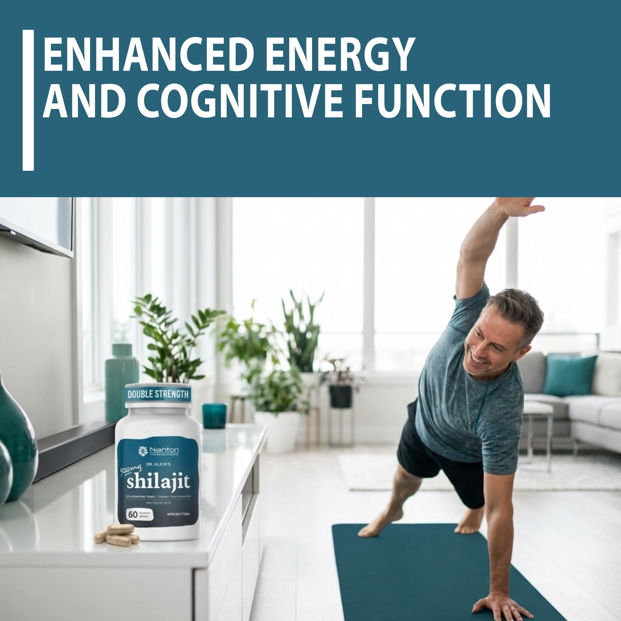 Shilajit 500mg