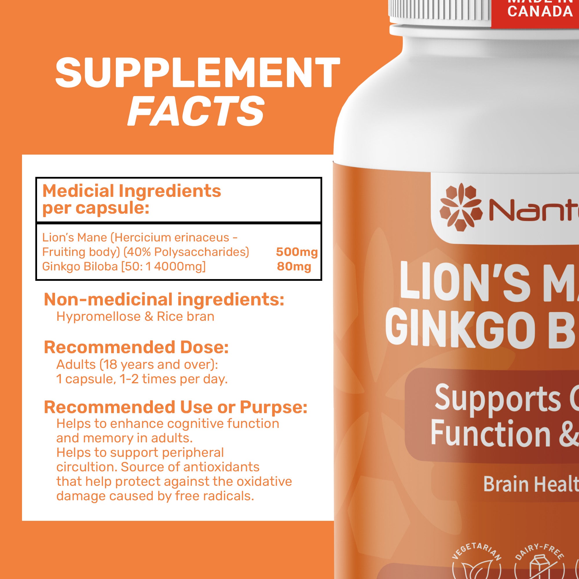 Lion's Mane & Ginkgo Biloba