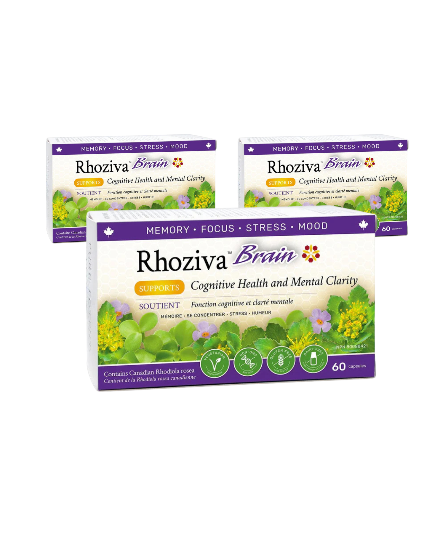 Rhoziva BRAIN 3 Pack OF 60 Capsules - Bundle & Save $9.98