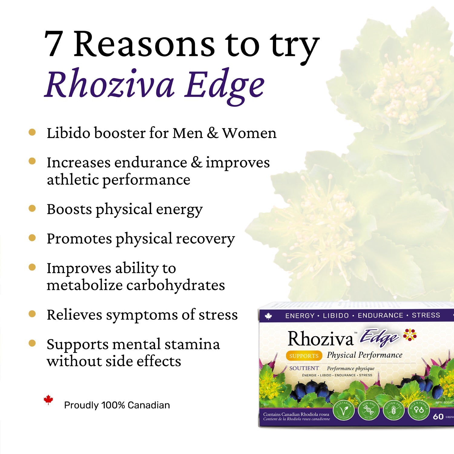 Men’s Total Wellness Stack